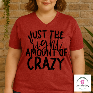 Just the right amount of crazy Tee T-shirt
